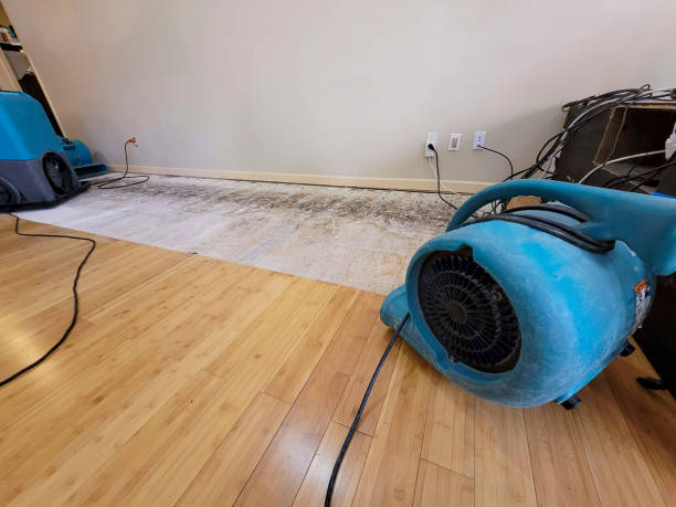 Professional Sewage Cleanup technician working in Sulphur, LA